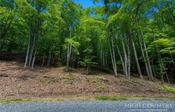 146 Sassafrass Road, Beech Mountain, NC 28604