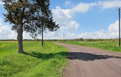 433 Rolling Hill Drive, Cat Spring, TX 78933