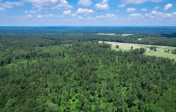 Mathews Road, Donaldson, AR 71941