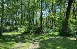 4643 Watkins Road, Veteran, NY 14864