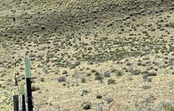 Co. Rd. 1, Eagleville, CA 96110