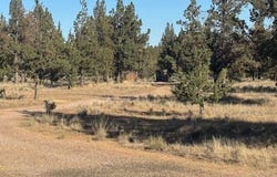 13260 SW Chipmunk Road, Terrebonne, OR 97760