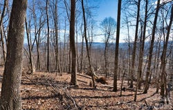 9999 Walnut Drive, Mills River, NC 28759