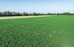 0000 Parallel Rd, Arlington, KS 67514