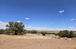 27 N 9183, Concho, AZ 85924