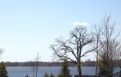 1137 Oak Point Court lot: 166, Antioch, IL 60002