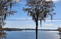 0 Grand Quiviera Circle, Alford, FL 32420