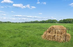 County Road 4130, Bonham, TX 75418