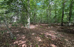 KISKADEE LANE, LEONARDTOWN, MD 20650