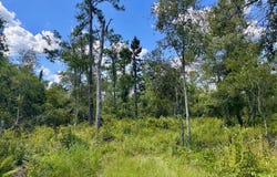 LOT71 NW CR 152, Jennings, FL 32053