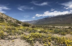 000 Pumice Mill Road, Chalfant Valley, CA 93514