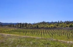 510 Oliva Dr, Hayfork, CA 96041