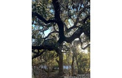 1145 OVERBROOK LN, Spring Branch, TX 78070