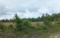 Oak Ridge Church Road, Kershaw, SC 29067