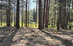 581 Redtail Loop lot: 36, Clio, CA 96106