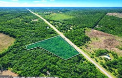 Hwy 168, Nashville, GA 31369