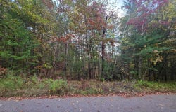 ROOSEVELT ST lot: 17-18, Tomahawk, WI 54487
