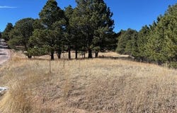 3560 Range View Road, Monument, CO 80132