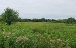 Xxx Park Avenue W, Almena, WI 54805
