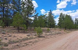 289 Haystack Road, Hartsel, CO 80449