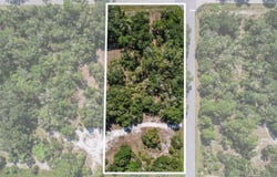 9597 N Alder Avenue, Crystal River, FL 34428