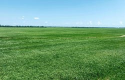 County Road 136, Hickory Ridge, AR 72347