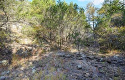 Ward Mt, Santo, TX 76472
