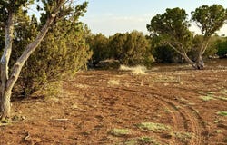 2288 Sitgreaves Street, Show Low, AZ 85901