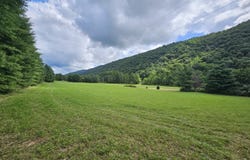 Upper Back Creek Road, Mill Gap, VA 24465