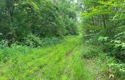 0 Haught Run Rd (Rear), New Matamoras, OH 45767