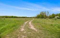826 W Shelby Road, Shelby, MI 49455