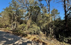 TBD Lot 1232 Hanauma Dr, Bastrop, TX 78602