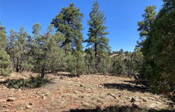 Parkview Hills Lot 29, Rutheron, NM 87551