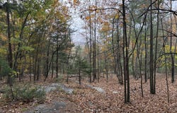 609 Ball Mountain Ln, Shipman, VA 22971
