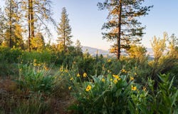 48247 Hooker Flat Road, Halfway, OR 97834