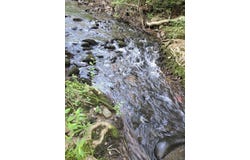 00 Meadors Mill RD, Bedford, VA 24523