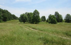 23742 Lawrence 1230, Aurora, MO 65605