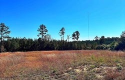 Riverfork Road, Waterloo, SC 29384