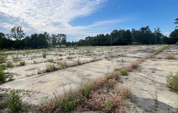 2032 2032 Thurgood Marshall, Kingstree, SC 29556