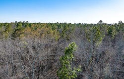 Lot 14 Bluffwood Road, Wagener, SC 29164