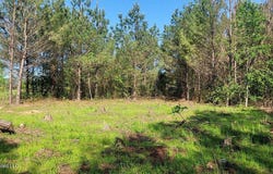 290 Mt. Helm Road, Brandon, MS 39047