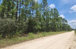 SW 76 LANE, DUNNELLON, FL 34432