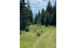 1491 Wild Bill Road, Kila, MT 59920