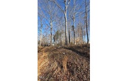 Lot 4 Forrestwood Drive, Roxboro, NC 27573