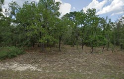 3593 W Whipple Lane, Citrus Springs, FL 34433