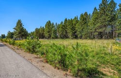 219 BALD EAGLE, Newport, WA 99156