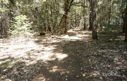 30 Suzy Q. Rd, Hawkins Bar, CA 95527