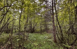 TBD 5.23 Messner, Baraga, MI 49908