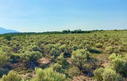 137 Los Rios Rd B007, Arroyo Hondo, NM 87513