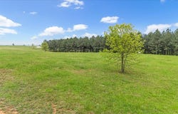 215 Deer Run Drive, Jasper, TN 37347